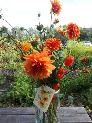 Thumbnail of Akker groente dicht, voor bloemen kunt u nog terecht op de akker